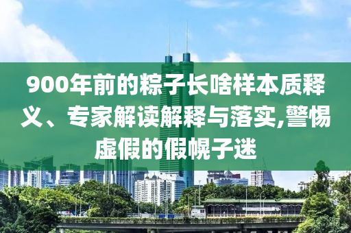 900年前的粽子長啥樣本質釋義、專家解讀解釋與落實,警惕虛假的假幌子迷