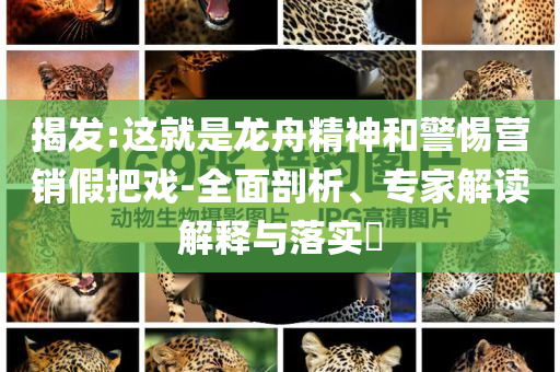 揭發(fā):這就是龍舟精神和警惕營銷假把戲-全面剖析、專家解讀解釋與落實(shí)?