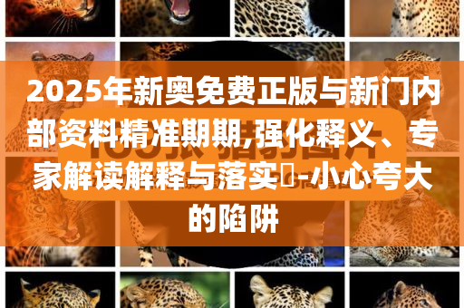 2025年新奧免費正版與新門內(nèi)部資料精準期期,強化釋義、專家解讀解釋與落實?-小心夸大的陷阱