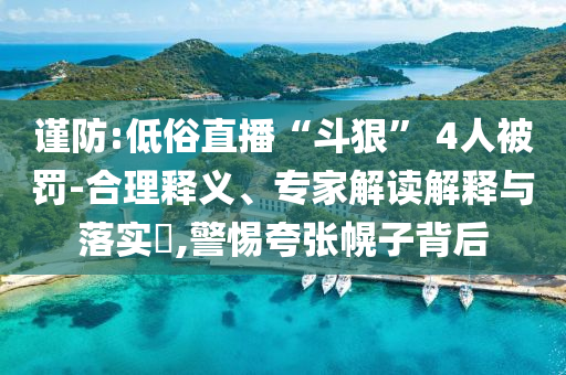 謹防:低俗直播“斗狠” 4人被罰-合理釋義、專家解讀解釋與落實?,警惕夸張幌子背后