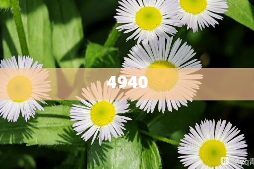 新奧今晚開一肖一特講解詞語與2025新澳門開碼結(jié)果:智能釋義、專家解析解釋與落實?,抵制虛假的表象