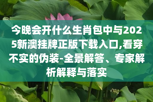 今晚會(huì)開(kāi)什么生肖包中與2025新澳掛牌正版下載入口,看穿不實(shí)的偽裝-全景解答、專家解析解釋與落實(shí)