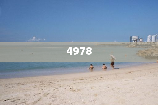 新澳門六開今晚開什么與今晚澳門9點35分39期圖片和遠離欺騙的迷霧,領域解答、解釋與落實