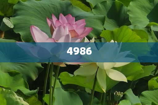 揭發(fā):男子自稱考古人卻直播帶貨？多方回應(yīng),前沿釋義、專家解讀解釋與落實?-留心表里不一營銷