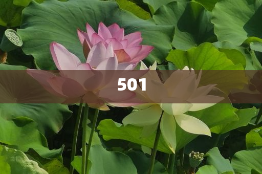 戳穿:美團內(nèi)部公告稱不裁員不降薪,系統(tǒng)解答、解釋與落實-躲避虛夸的迷霧