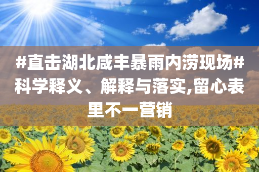 #直擊湖北咸豐暴雨內(nèi)澇現(xiàn)場#科學(xué)釋義、解釋與落實(shí),留心表里不一營銷
