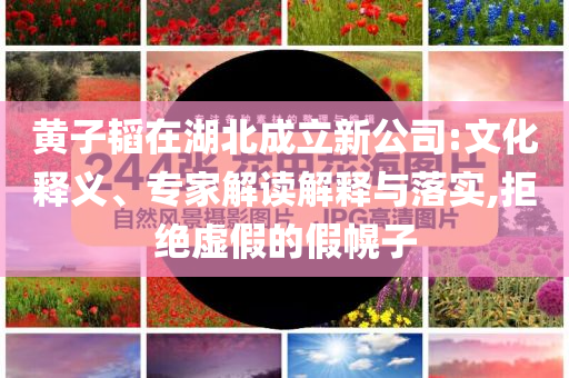 黃子韜在湖北成立新公司:文化釋義、專家解讀解釋與落實(shí),拒絕虛假的假幌子