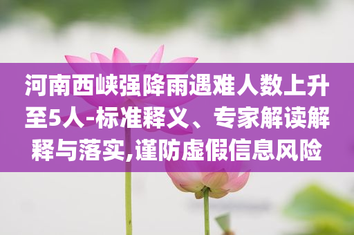 河南西峽強降雨遇難人數上升至5人-標準釋義、專家解讀解釋與落實,謹防虛假信息風險