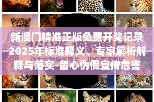 券商掀起穩(wěn)定幣研究熱潮,小心虛假的偽推廣-新穎釋義、解釋與落實
