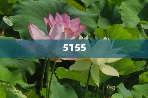 馬斯克：吃了兒子一拳-通俗剖析、專家解讀解釋與落實(shí),小心欺詐的甜蜜餌