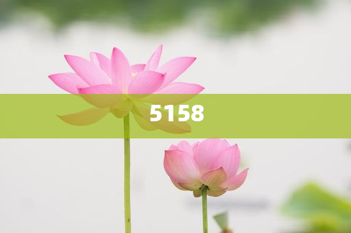 5月各地經(jīng)濟(jì)社會(huì)發(fā)展觀察,本質(zhì)釋義、專家解析解釋與落實(shí)-杜絕虛假的假誘導(dǎo)