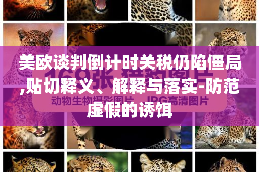 美歐談判倒計時關(guān)稅仍陷僵局,貼切釋義、解釋與落實-防范虛假的誘餌