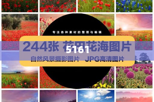 業(yè)內(nèi)人談洛杉磯港5月貨運(yùn)量和留心欺詐的手段,全面釋義、專家解讀解釋與落實(shí)