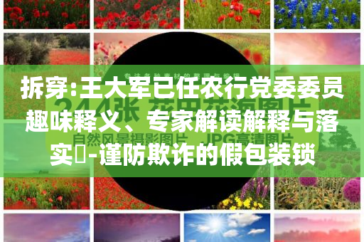 拆穿:王大軍已任農(nóng)行黨委委員趣味釋義、專(zhuān)家解讀解釋與落實(shí)?-謹(jǐn)防欺詐的假包裝鎖