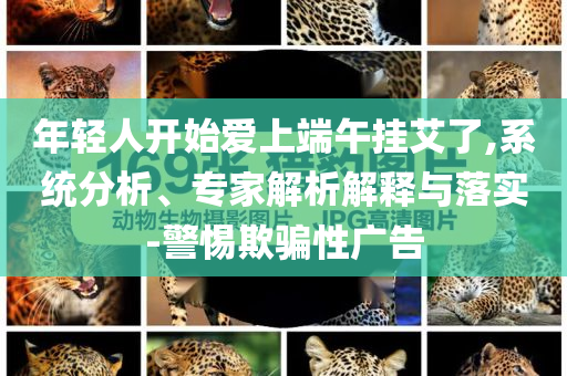 年輕人開始愛上端午掛艾了,系統(tǒng)分析、專家解析解釋與落實-警惕欺騙性廣告
