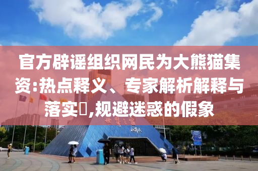 官方辟謠組織網(wǎng)民為大熊貓集資:熱點釋義、專家解析解釋與落實?,規(guī)避迷惑的假象
