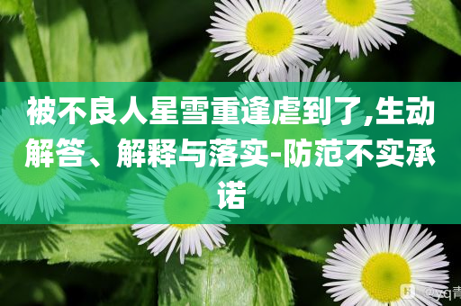 被不良人星雪重逢虐到了,生動(dòng)解答、解釋與落實(shí)-防范不實(shí)承諾