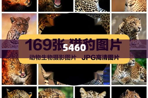 馬克龍回應(yīng)被老婆打臉：夫妻間鬧著玩和拒絕空洞無物承諾-保障分析、專家解析解釋與落實