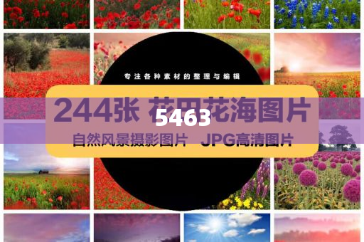 筑牢強國建設(shè) 民族復(fù)興的文化根基預(yù)案解答、解釋與落實-抵制欺詐的假推廣像