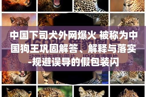 中國下司犬外網(wǎng)爆火 被稱為中國狗王鞏固解答、解釋與落實-規(guī)避誤導(dǎo)的假包裝閃