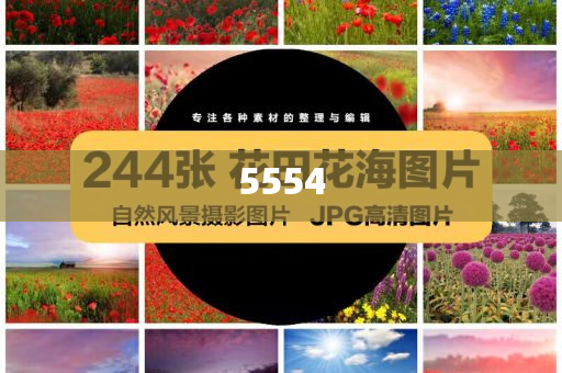 2025年全年正版資料免費大全和留心欺詐性營銷,關(guān)鍵解答、解釋與落實