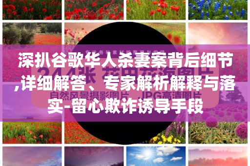 深扒谷歌華人殺妻案背后細(xì)節(jié),詳細(xì)解答、專家解析解釋與落實(shí)-留心欺詐誘導(dǎo)手段