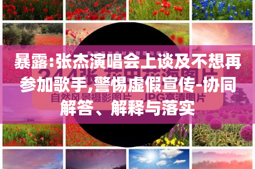 暴露:張杰演唱會(huì)上談及不想再參加歌手,警惕虛假宣傳-協(xié)同解答、解釋與落實(shí)