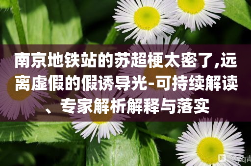 南京地鐵站的蘇超梗太密了,遠離虛假的假誘導光-可持續(xù)解讀、專家解析解釋與落實