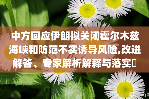 中方回應(yīng)伊朗擬關(guān)閉霍爾木茲海峽和防范不實誘導(dǎo)風(fēng)險,改進(jìn)解答、專家解析解釋與落實?