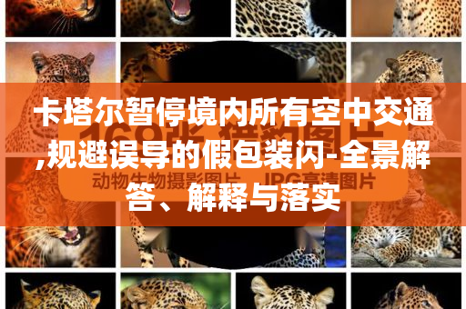 卡塔爾暫停境內(nèi)所有空中交通,規(guī)避誤導(dǎo)的假包裝閃-全景解答、解釋與落實
