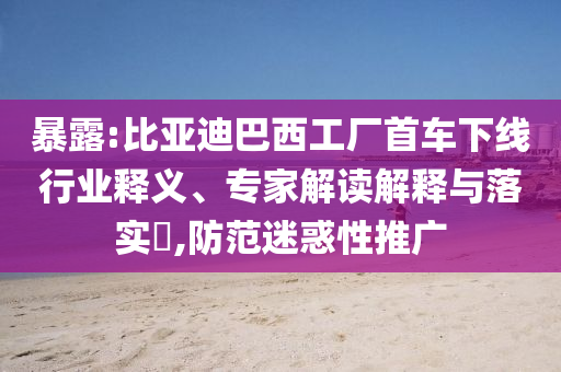 暴露:比亞迪巴西工廠首車下線行業(yè)釋義、專家解讀解釋與落實?,防范迷惑性推廣