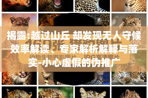 揭露:越過山丘 卻發(fā)現(xiàn)無人守候效率解讀、專家解析解釋與落實(shí)-小心虛假的偽推廣