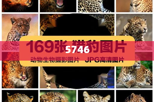沒(méi)點(diǎn)技能都送不了外賣(mài)和謹(jǐn)防不實(shí)的偽形象,營(yíng)銷(xiāo)釋義、專(zhuān)家解讀解釋與落實(shí)