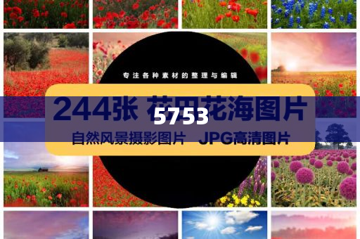 SpaceX星艦第九次試飛失敗理論解答、專家解析解釋與落實(shí)?-規(guī)避虛假承諾陷阱
