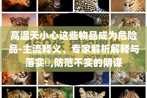 高溫天小心這些物品成為危險品-主流釋義、專家解析解釋與落實?,防范不實的陰謀