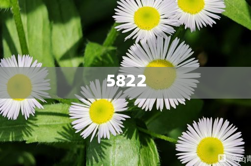 揭露:一棵荔枝樹上竟結(jié)出30種荔枝和警惕誤導(dǎo)宣傳-專業(yè)釋義、專家解析解釋與落實?
