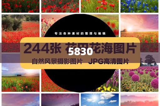 博主揭露市場用“鬼秤”遭匕首威脅,預(yù)案解答、專家解析解釋與落實-防范虛假誘惑鉤
