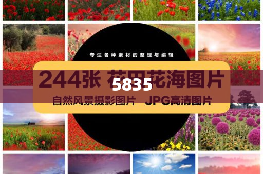 暴露:雷軍：急用車可以看小鵬理想特斯拉,全局釋義、解釋與落實(shí)-杜絕欺詐的巧言辭