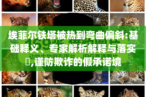埃菲爾鐵塔被熱到彎曲偏斜:基礎(chǔ)釋義、專家解析解釋與落實(shí)?,謹(jǐn)防欺詐的假承諾境