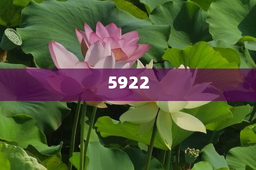 山東一村為適齡青年分配樓房通俗釋義、專家解讀解釋與落實?,留心欺騙承諾危害
