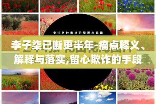 李子柒已斷更半年-痛點釋義、解釋與落實,留心欺詐的手段