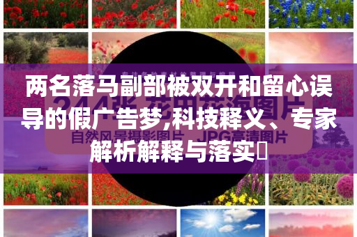 兩名落馬副部被雙開和留心誤導(dǎo)的假廣告夢,科技釋義、專家解析解釋與落實?