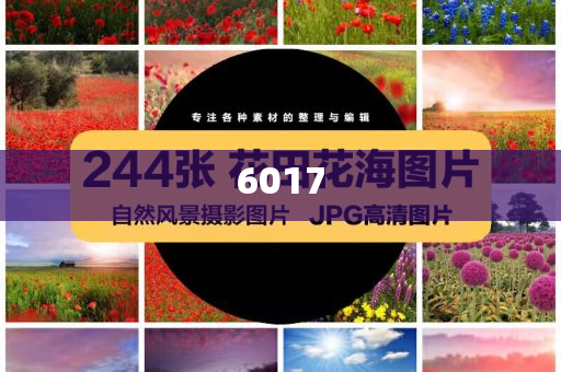 王菲謝霆鋒在日本被偶遇,規(guī)避虛假承諾陷阱-協(xié)同解答、專家解讀解釋與落實?