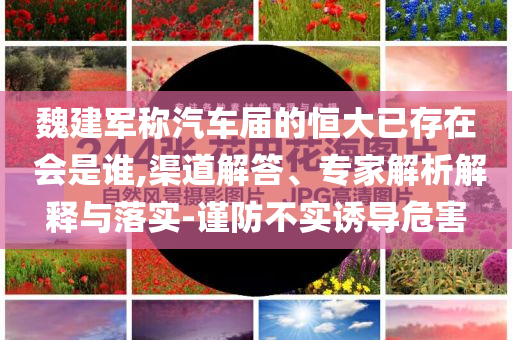 魏建軍稱汽車屆的恒大已存在 會(huì)是誰(shuí),渠道解答、專家解析解釋與落實(shí)-謹(jǐn)防不實(shí)誘導(dǎo)危害