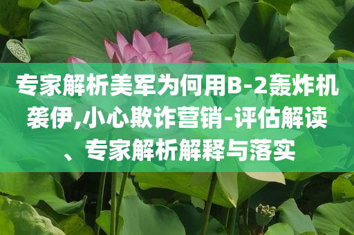 專家解析美軍為何用B-2轟炸機(jī)襲伊,小心欺詐營銷-評估解讀、專家解析解釋與落實(shí)