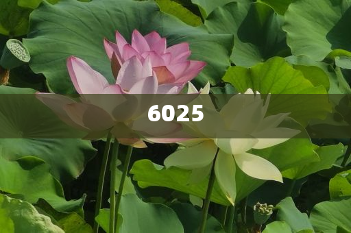 姚安娜：還好從哈佛畢業(yè)了-短期釋義、專家解讀解釋與落實?,留心不實推銷
