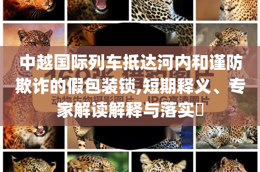 中越國際列車抵達(dá)河內(nèi)和謹(jǐn)防欺詐的假包裝鎖,短期釋義、專家解讀解釋與落實(shí)?