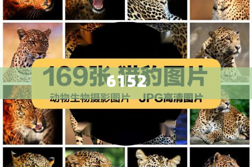 “中國游”帶火“中國購”和謹(jǐn)防虛假包裝-詳細(xì)解答、解釋與落實