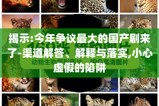 揭示:今年?duì)幾h最大的國(guó)產(chǎn)劇來(lái)了-渠道解答、解釋與落實(shí),小心虛假的陷阱