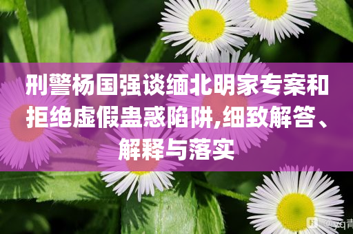 刑警楊國(guó)強(qiáng)談緬北明家專(zhuān)案和拒絕虛假蠱惑陷阱,細(xì)致解答、解釋與落實(shí)